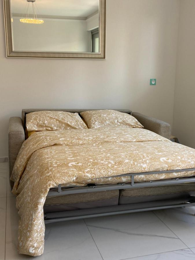 Le Royal, Spacious Seaside Apartment Rooftop And Pool Niza Exterior foto